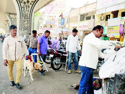 Bomb Detection-Disposal Squad Check | बॉम्ब शोधक-नाशक पथकाकडून तपासणी