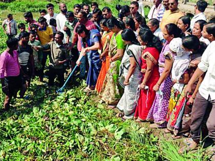 Cleanliness of the Chandrabhaga river bed | चंद्रभागा नदीपात्राची स्वच्छता