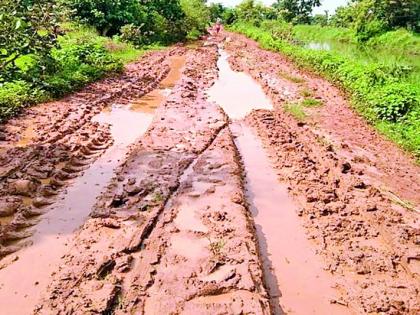 Farmers suffer due to muddy roads | चिखलमय पांदन रस्त्यांमुळे शेतकरी त्रस्त