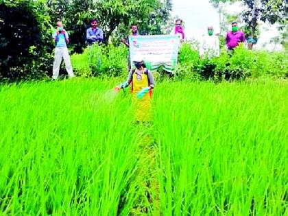 Demonstration of safe pesticide spraying | सुरक्षित कीटकनाशक फवारणीचे प्रात्यक्षिक Demonstration of safe pesticide spraying | सुरक्षित कीटकनाशक फवारणीचे प्रात्यक्षिक