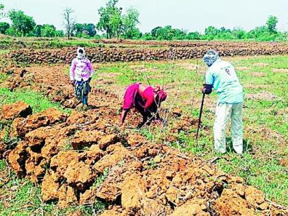 Start Rohyo work in Lakhandura | लाखांदूरात रोहयो कामाला प्रारंभ
