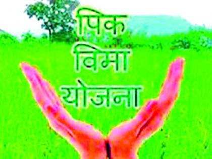 Obstacles to crop insurance for defects in Satbara | सातबारातील दोष पीक विम्यासाठी अडसर Obstacles to crop insurance for defects in Satbara | सातबारातील दोष पीक विम्यासाठी अडसर