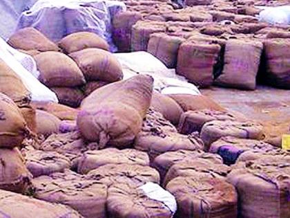 Paddy growers plunder farmers' merchants | धान उत्पादक शेतकऱ्यांची व्यापाऱ्यांकडून लूट Paddy growers plunder farmers' merchants | धान उत्पादक शेतकऱ्यांची व्यापाऱ्यांकडून लूट