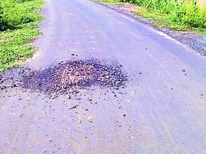 Three months after the construction of the pavement on the state road | बांधकामाच्या तीन महिन्यातच पडले राज्य मार्गावर खड्डे