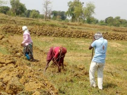 planning of crops on 5 lakh 100 hectares this year | यंदा ५ लाख १०० हेक्टरवर खरिपाचे नियोजन