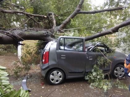 The tree fell on a vertical car in the seventies | साताऱ्यात उभ्या कारवर झाड कोसळले