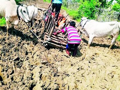 Due to the paved roads, the road from the mud to the fields | पांदण रस्त्यांअभावी चिखलातून शेतीची वाट