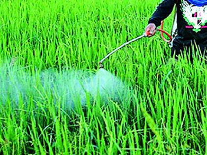 Sale of banned insecticides | बंदी असलेल्या कीटकनाशकांची विक्री