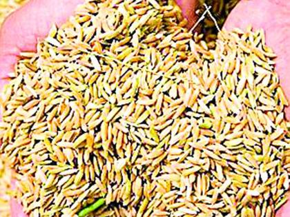 Take special care when buying seeds | बियाणे खरेदी करताना विशेष काळजी घ्या