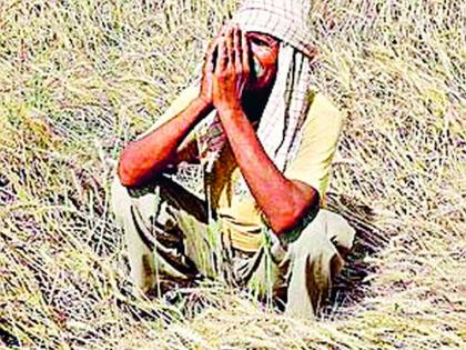 The hurdles for farmers' honor fund started | ‘शेतकरी सन्मान निधी’साठी अडथळ्यांची शर्यत सुरूच