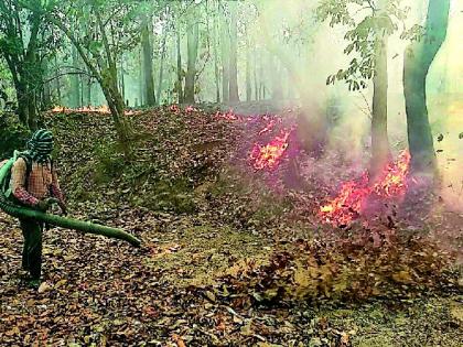 The forest of the forest firefighters | ठिकठिकाणचे जंगल आगीच्या भक्ष्यस्थानी