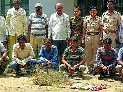 Six hunters arrested | सहा शिकाऱ्यांना अटक