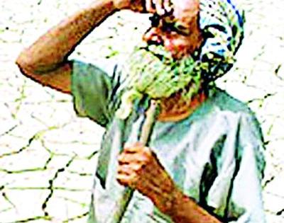 Farmers, do not be rushing to sow | शेतकऱ्यांनो पेरणीची घाई करु नका