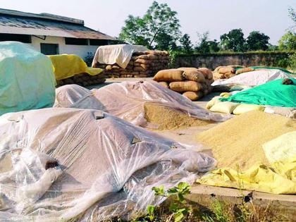 Billions of rupees worth of grain is only the basis of tarpaulins | कोट्यवधी रुपयांच्या धानाला केवळ ताडपंत्र्यांचा आधार