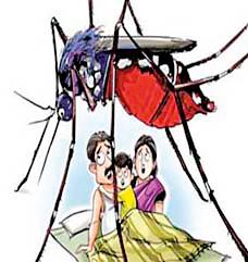 Dengue is spreading legs | डेंग्यू पाय पसरतोय Dengue is spreading legs | डेंग्यू पाय पसरतोय
