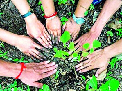 Target of planting eight lakh trees in the taluka | तालुक्यात सव्वा आठ लाख वृक्ष लागवडीचे लक्ष्य