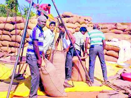 Four times the sale of grain at the same time | एकाच सातबारावर चारवेळा धानाची विक्री