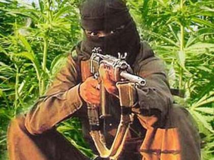 Naxals banned in 53 villages | ५३ गावांत नक्षलवाद्यांना बंदी