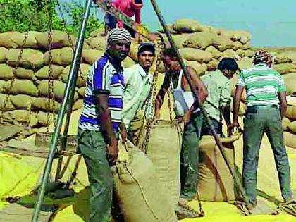 80% of Paddy Traders' Throat | ८० टक्के धान व्यापाऱ्यांच्या घशात