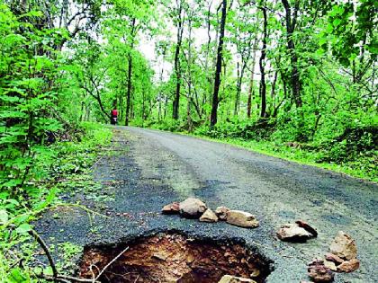 Death-threatening pit from Mundi to Munipar road | पुतळी ते मुंडीपार मार्गावर जीवघेणा खड्डा