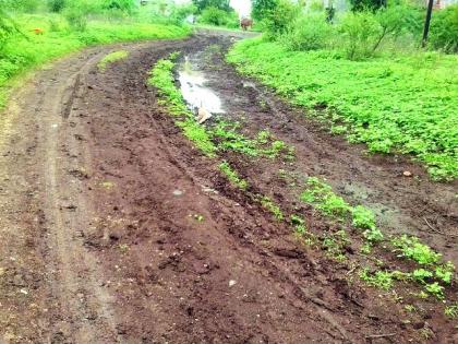 Khamgaon: The roads in new colonies not solved | खामगाव : नवीन वस्त्यांचा रस्ता प्रश्न सुटेना!