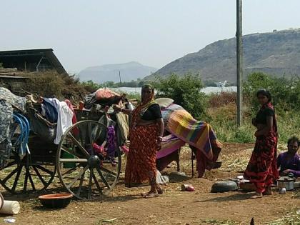 In the Devla-Kalavan area, the shepherds filed before Diwali | देवळा--कळवण परिसरात दिवाळीपूर्वीच मेंढपाळ दाखल