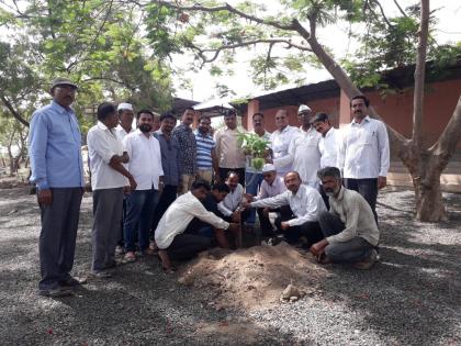  Tree plantation from public participation in Vaikuntha Dam in Nampur | नामपूरच्या वैकुंठधामात लोकसहभागातून वृक्षारोपण