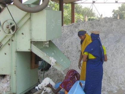 Fear of disaster to cotton stocks | कापूस साठ्याला आपत्तीची भिती Fear of disaster to cotton stocks | कापूस साठ्याला आपत्तीची भिती