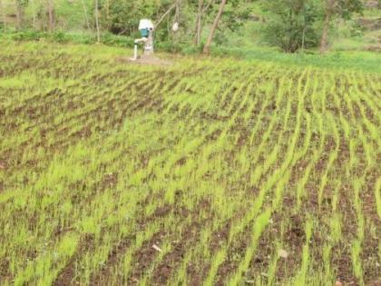 Distribution of 631 acres of land to the landless in 16 years | १६ वर्षात भूमिहीनांना ६३१ एकर जमिनीचे वितरण