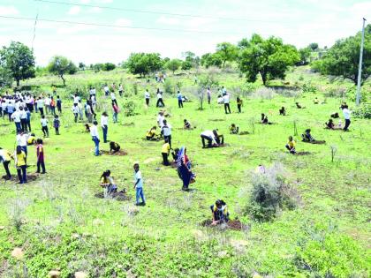 Parbhani: Tree plantation became a people's movement | परभणी : वृक्षलागवड बनली लोकचळवळ