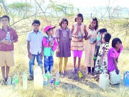  Conservation of hundreds of seedlings with the help of chimpanzees | चिमुकल्यांच्या मदतीने शंभरावर रोपट्यांचे संवर्धन