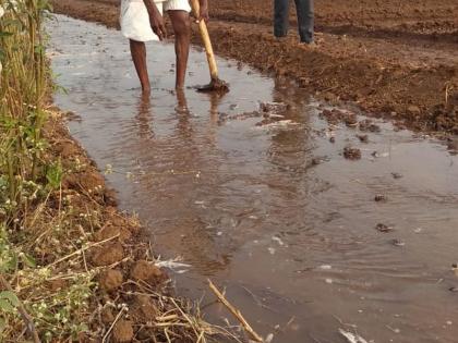 Dose of canal water to rabi crops | कालव्याच्या पाण्याचा रब्बी पिकांना डोस