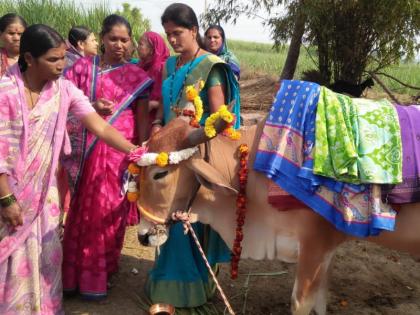 Cow's baby shower function celebrated in Walhe | अहो आश्चर्यम ! वाल्हे येथे केले गाईचे डोहाळे जेवण साजरे 