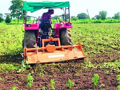 Rotavator rotated on 10 acre soybean crop | १० एकरातील सोयाबीन पिकावर फिरविले रोटाव्हेटर