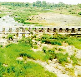 There was no river flooding | एकही नदी दुथडी भरून वाहिली नाही