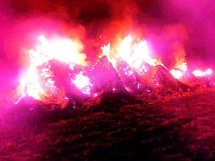 Five lakhs of soyabean burnt | पाच लाखांचे सोयाबीन जळून खाक