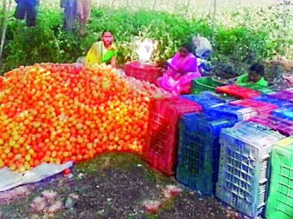 There is no money left to sell sahib and vegetables | साहेब, भाजी विकून भजे खाण्यासाठीही पैसे उरत नाही