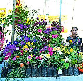 Women's work contributed to the development | महिलांच्या कार्यामुळे विकासाला हातभार