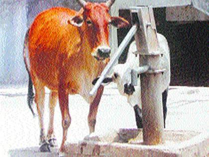 Wandering for water during the monsoon rainy season | न्यायडोंगरीत पावसाळ्यातही पाण्यासाठी भटकंती