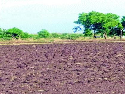 Rainfall in Sakura area; Farmer concerned | साकोरा परिसरात पावसाची ओढ; शेतकरी चिंतित Rainfall in Sakura area; Farmer concerned | साकोरा परिसरात पावसाची ओढ; शेतकरी चिंतित