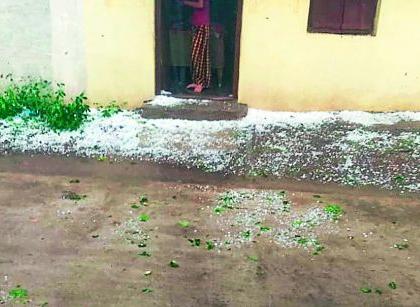 Untimely rains, hailstorm in Babhulgaon | अवकाळी पावसाने झोडपले, बाभूळगावमध्ये गारपीट Untimely rains, hailstorm in Babhulgaon | अवकाळी पावसाने झोडपले, बाभूळगावमध्ये गारपीट