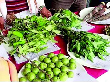 Rare vegetables available .. tasty and healthy | आल्या दुर्मिळ रानभाज्या.. चविष्ट आणि हेल्दी 