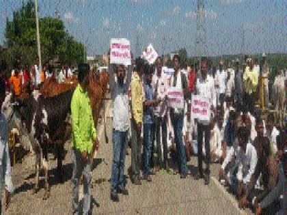 Farmers on the road with animals in Saigawa; Two hours traffic jam | सायगावात जनावरांसह शेतकरी रस्त्यावर; दोन तास वाहतूक ठप्प