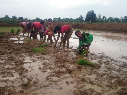 Now mini soil labs in villages | आता गाव, खेड्यांतही मिनी मृदा परीक्षण प्रयोगशाळा