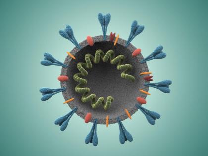 Corona Patient and death toll in Vidarbha | coronavirus; विदर्भात रुग्ण आणि मृत्यूचा उच्चांक