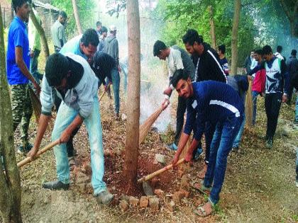  The youth transformed the village | युवकांनी केला गावाचा कायापालट