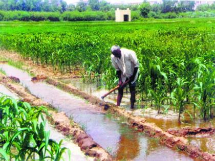 Agricultral officers have to work in farms | कृषी अधिकाऱ्यांना शेतकऱ्यांमध्ये जाऊन करावे लागणार काम