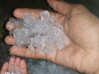 Hailstorms with heavy rainfall in Yavatmal district | यवतमाळ जिल्ह्यात वादळी पावसासह गारांचा वर्षाव