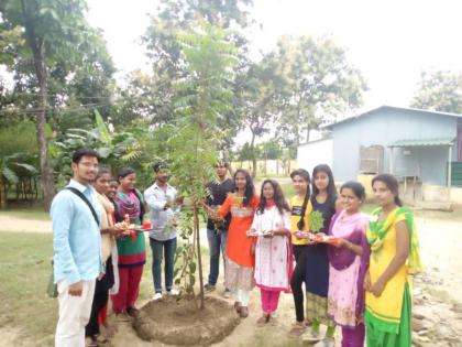 Rakhi parnima celebrated by planting rakhi for the trees in Gadchiroli | गडचिरोलीत झाडांना राखी बांधून राखीपौर्णिमा साजरी