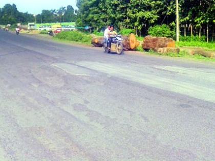 Road is a tree that has been cut for four-dimensional | रस्ता चौपदरीकरणासाठी तोडलेली वृक्षे ठरत आहे जीवघेणी